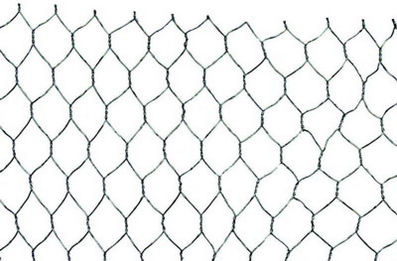 Hønsehegn 25 mm 0,8 mm, 1×50 m (galvaniseret)