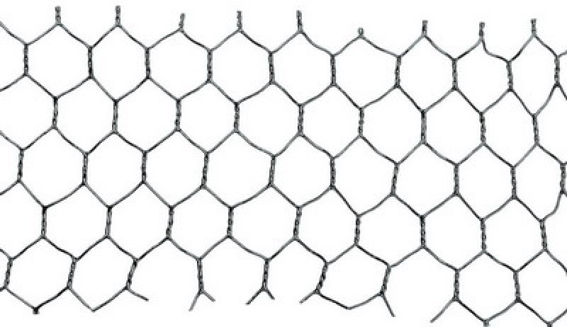 Hønsehegn plastbelagt 25 mm 1,0 mm, 1×25 m (grøn)